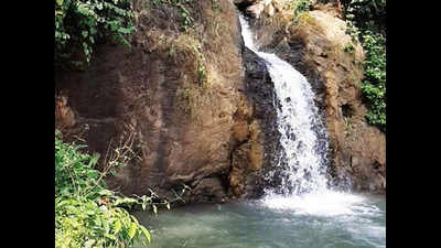 Goa: Gaondongrim, Cotigao ban visitors at waterfalls