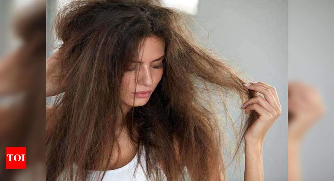 Shampoo for Dry Hair: Manage your dry 