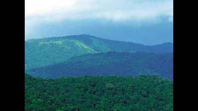 Supreme Court seeks Goa’s reply on conservation of Western Ghats