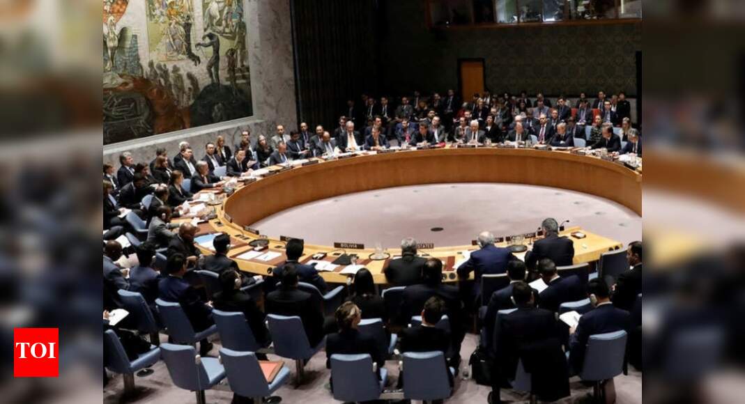 S Africa reaffirms support for India and other members elected to UN ...