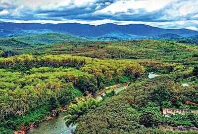Proposed airport at Cheruvally Estate should be environment friendly in letter and spirit, said Sabarimala Ayyappa Seva Samajam