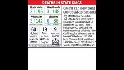 Vidarbha GMCs report 88 deaths so far, curb mortality rate