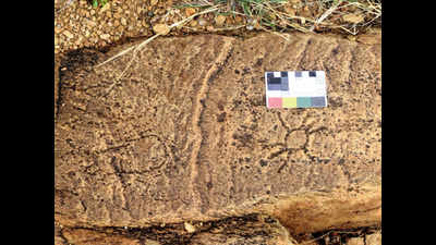 Karnataka: Prehistoric traces found in Davanagere district