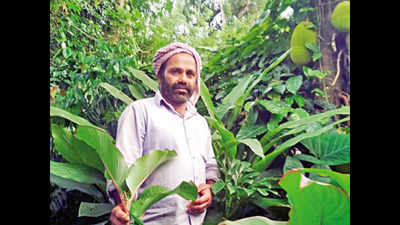 Pandemic-hit genome saviour farmers seek government help in Kerala