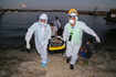 Brazil surpasses 1 million coronavirus cases