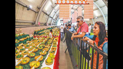 Dilli Haat's iconic mango festival cancelled due to the coronavirus pandemic