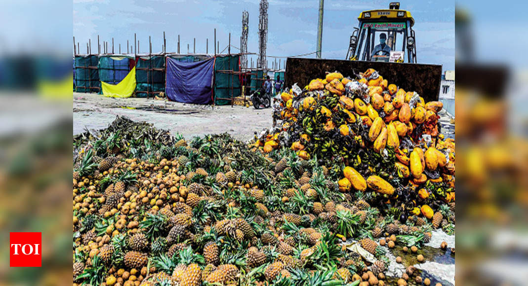 Chennai: 20 tonnes of fruits go waste in market | Chennai News - Times ...