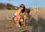 After 104 days of quarantine, Preity Zinta hits the beach with her pet dog; says, 'Both of us were in heaven'