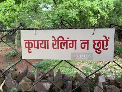 Unlocking diaries- Van Vihar National Park reopens for public with new rules
