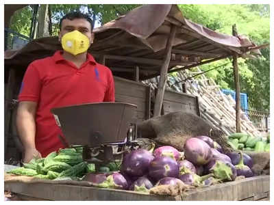COVID impact: Jobless English lecturer turns vegetable vendor