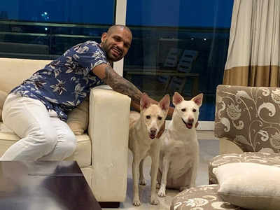 Shikhar Dhawan welcomes two new 'family members' | Off the ...