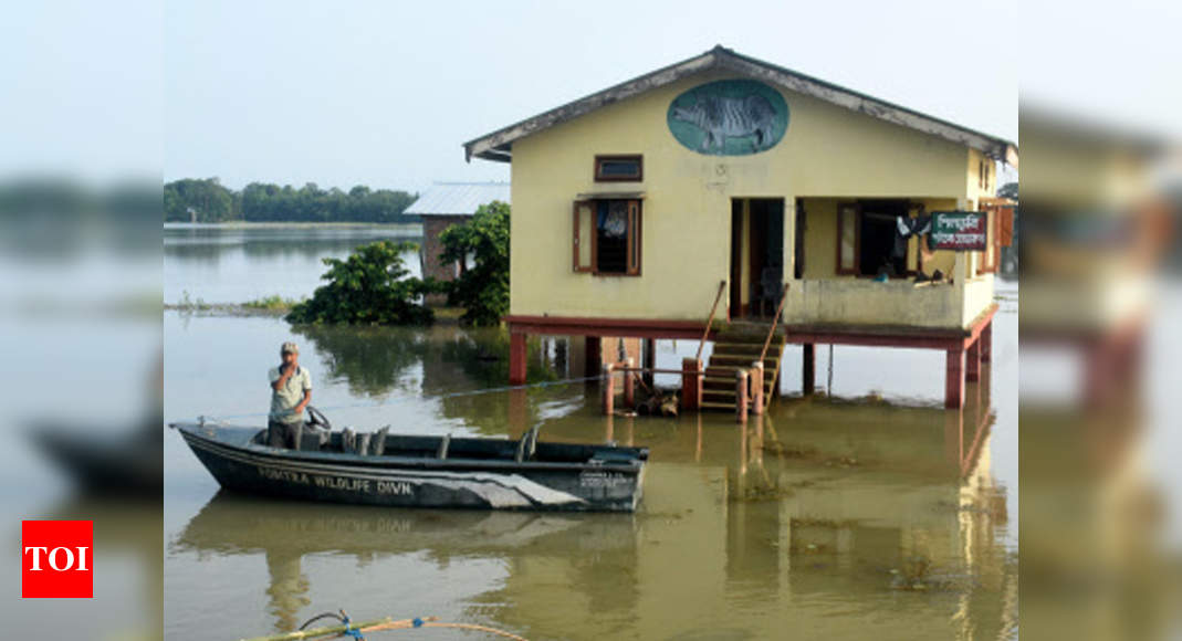 Assam Flood Worsens Two More Dead Nearly 93 Lakh People Hit Guwahati News Times Of India 6840