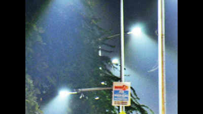 Andhra Pradesh government mulls new system to solve streetlight troubles