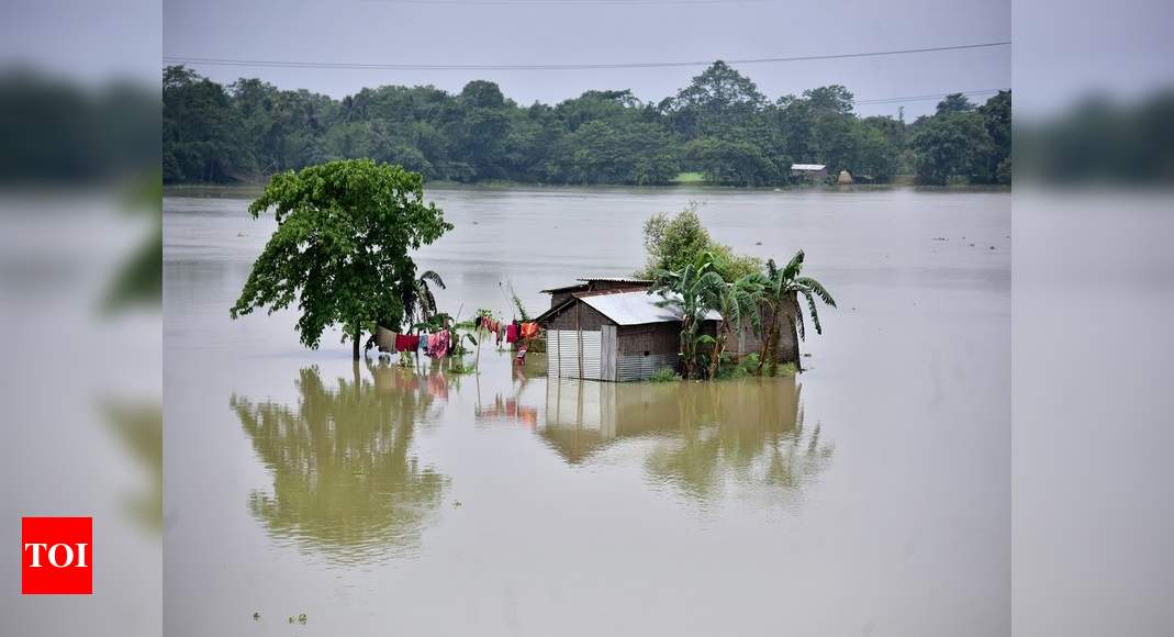 Assam Floods Claim 4 More Lives Over A Million Affected Guwahati News Times Of India 9926