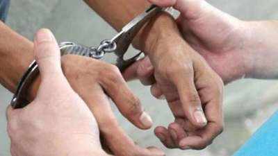 Indian held on charges of smuggling drugs into US
