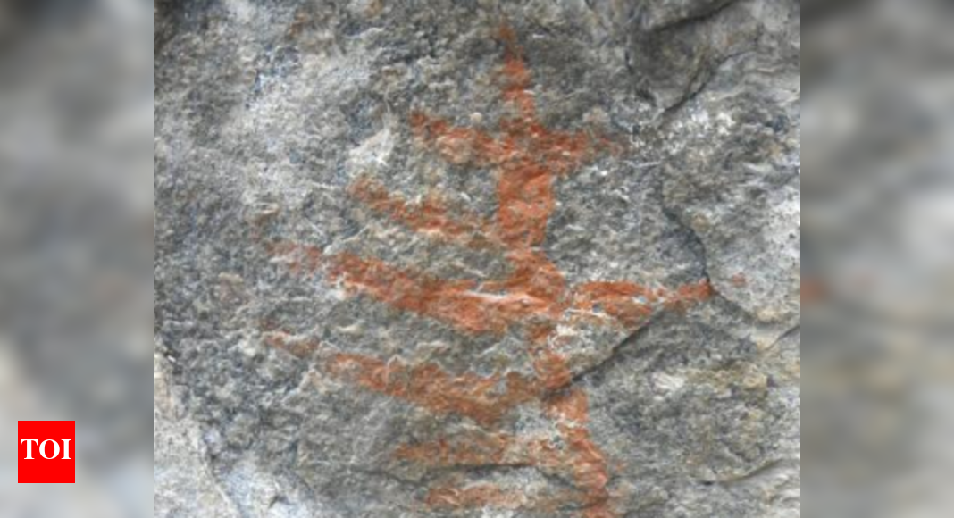 Prehistoric rock arts discovered in Tiruvannamalai cavern | Chennai ...