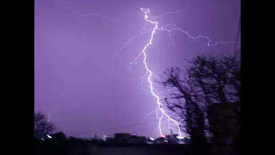 Lightning strikes kill seven in Gujarat