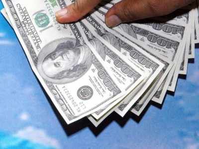 Foreign exchange reserves up by USD 64.9 billion in FY20