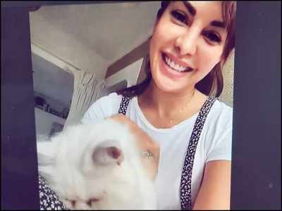 Jacqueline Fernandez gets a cute companion for her online meditation classes, see pictures