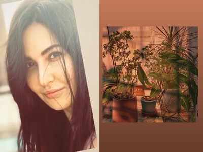 Katrina Kaif shows off her photography skills; shares pictures on her Instagram