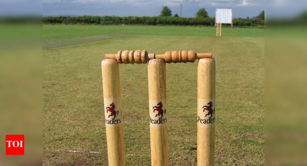 Top-notch wooden stumps for cricket professionals - Times of India