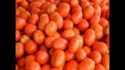 Tomato prices skyrocket to Rs 70/kg in Delhi-NCR