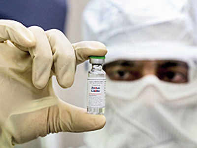 Mice hold key in Covid vaccine rat race | India News - Times of India