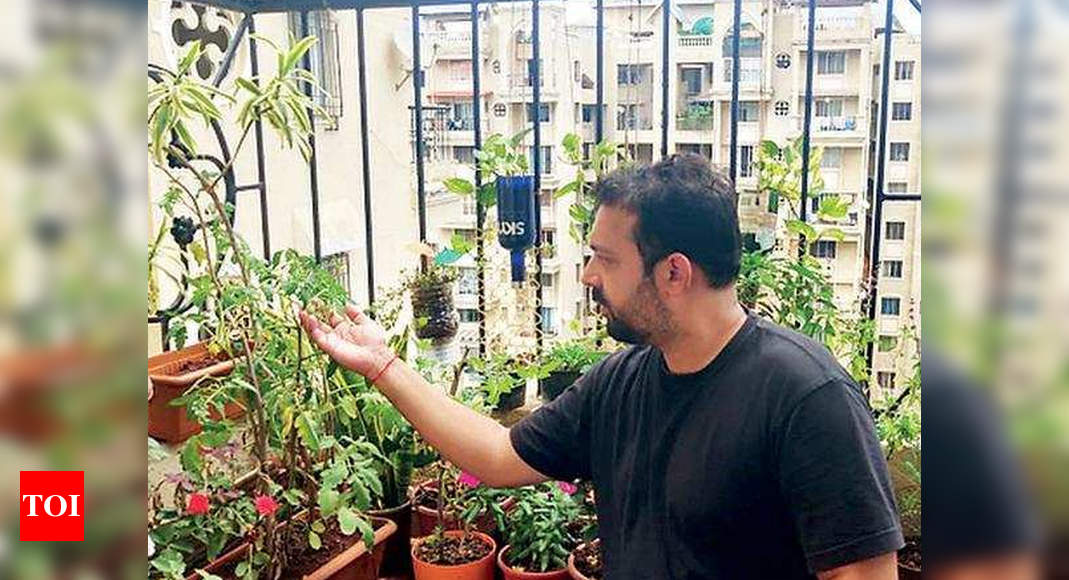 Bloom amid Covid gloom: Home gardening fills up lockdown days : The Tribune  India