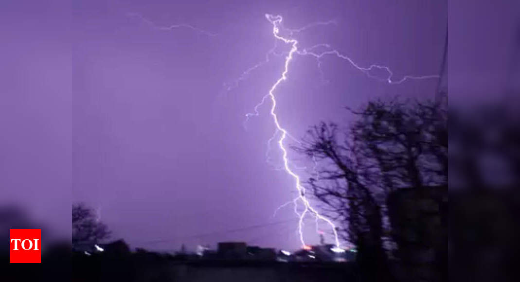 Climate change 'fuelling deadly India lightning strikes' India News
