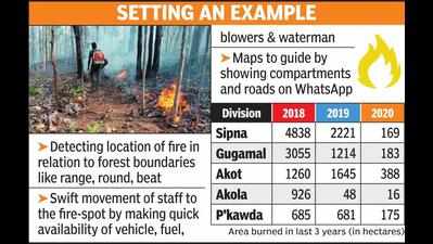 Melghat cell brings fire-hit areas down from 107 sqkm to 10 sqkm in 3 years
