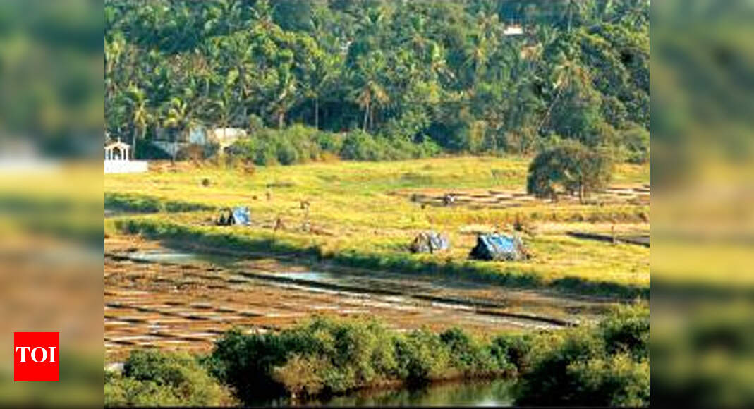 Goa plans to convert over 5 lakh sqm land, most of it agricultural