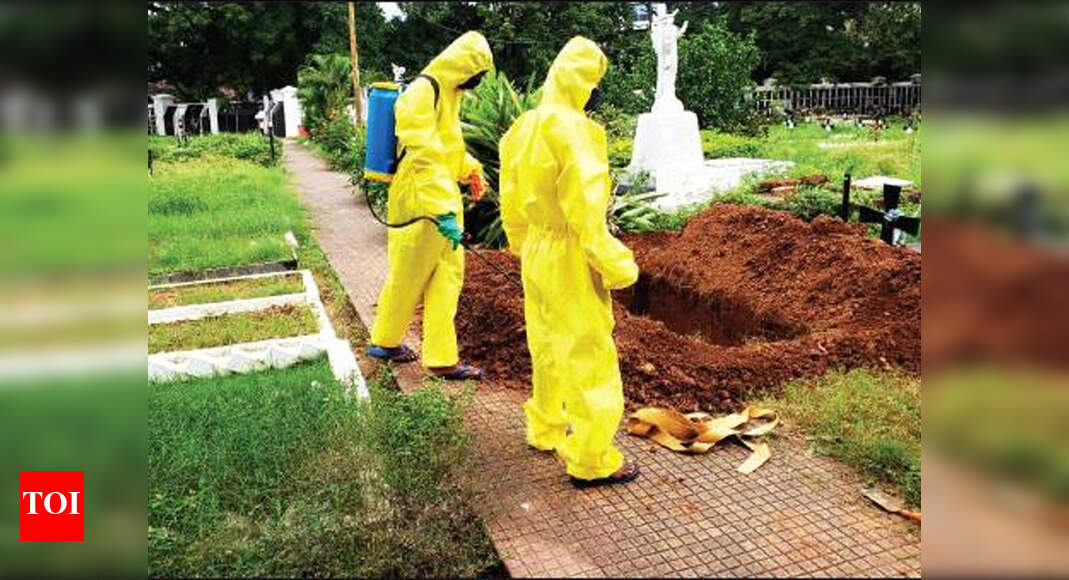 Recoveries outnumber active cases for first time in Goa Goa News