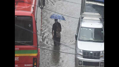 Over 100mm rain in suburban Mumbai, Thane; more showers likely