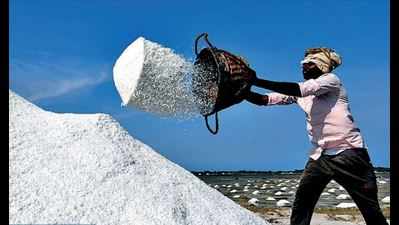 Covid spices up salt business in Gujarat; consumption up 40% in 2 months