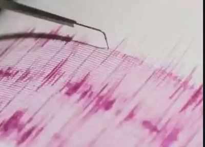 6.6-magnitude quake strikes off Indonesia: USGS