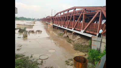 Delhi: ‘Yamuna needs more water from Hathni Kund barrage’