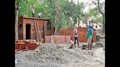 Noida: Waste plant on plot near temple stirs row