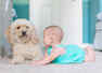 Playing with dogs can help children be better socially and emotionally