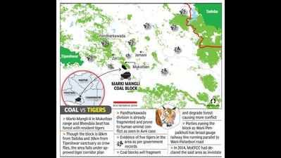 After Bander, another coal block auction threatens Tadoba corridor