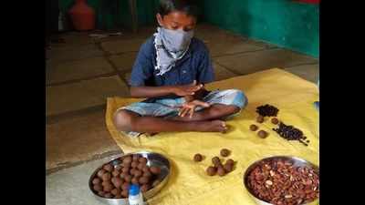 Hyderabad: Government schools prepare 11 lakh seed balls