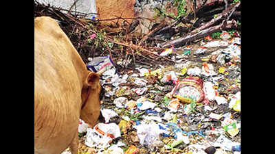 Chennai: Workers unpaid, waste piles up in Chitlapakkam