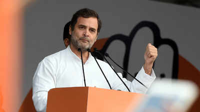 Congress Lok Sabha MPs demand Rahul Gandhi to take over as party chief