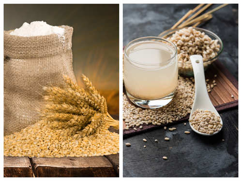 barley vs wheat appearance