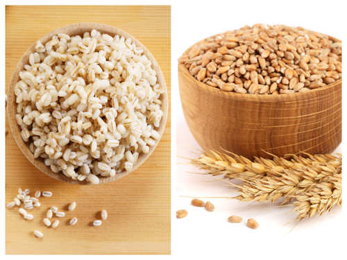 Barley Bread Meaning In Urdu : What Is The Difference ...