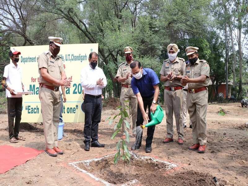 What is van mahotsav class 8 image