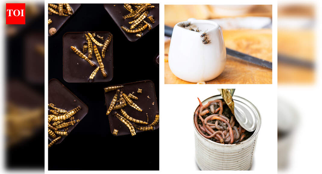 Food Facts: Did you know your favourite foods secretly contain insects!