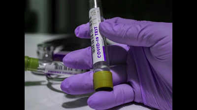 Celsius rise leads to virus dip: IITBBS study