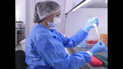 Noida: Sharda hospital to start rapid antigen, IL-6 tests