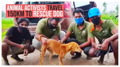 Animal activists travel 150km to rescue dog stuck in bore well
