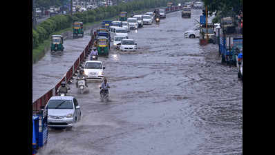 Gujarat: Navsari's Jalalpore receives 105mm rain